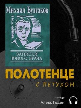Книга Полотенце с петухом