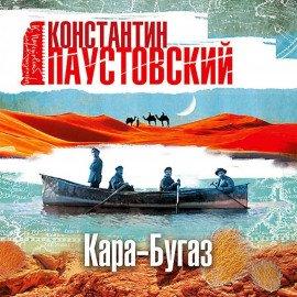 Книга Кара-Бугаз