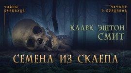 Книга Семена из склепа