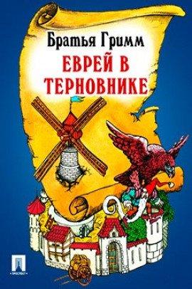 Книга Еврей в терновнике