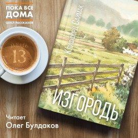 Книга Изгородь