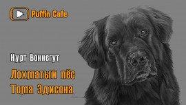 Книга Лохматый пёс Эдисона