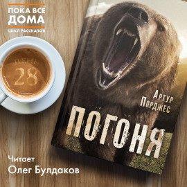 Книга Погоня