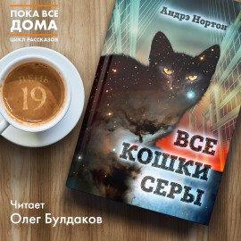 Книга Все кошки серы