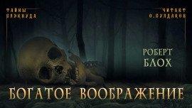Книга Богатое воображение