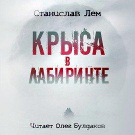Книга Крыса в лабиринте