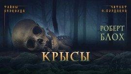 Книга Крысы