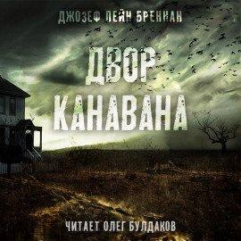 Книга Двор Канавана