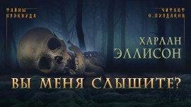 Книга Вы меня слышите?