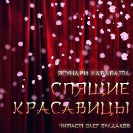 Книга Спящие красавицы