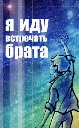 Книга Я иду встречать брата