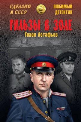 Книга Гильзы в золе. Глазами следователя