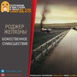 Книга Божественное сумасшествие