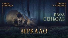 Книга Зеркало