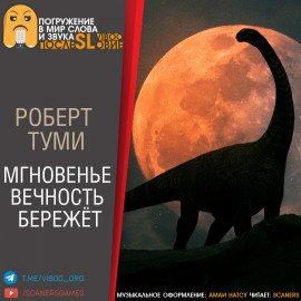 Книга Мгновенье вечность бережёт