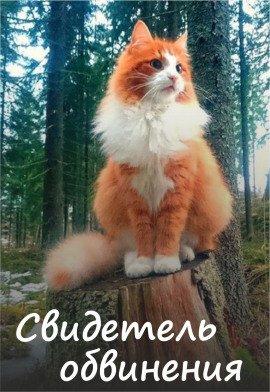Книга Свидетель обвинения