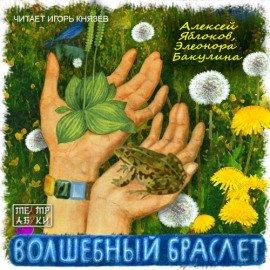 Книга Волшебный браслет