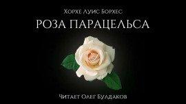 Книга Роза Парацельса