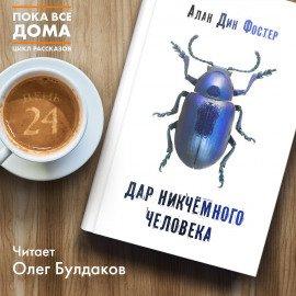 Книга Дар никчемного человека