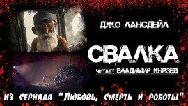 Книга Свалка