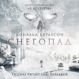 Книга Снегопад