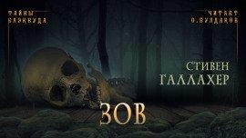 Книга Зов