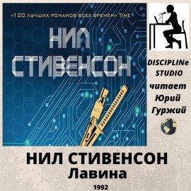 Книга Лавина