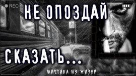 Книга Кепка из Копенгагена