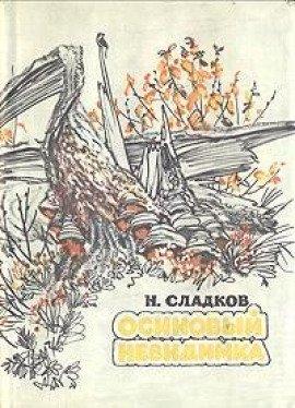 Книга Осиновый невидимка