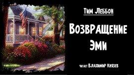 Книга Возвращение Эми