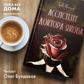 Книга Ассистент доктора Якоба