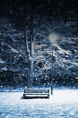 Книга Новогодняя сказка