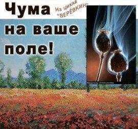 Книга Чума на ваше поле!