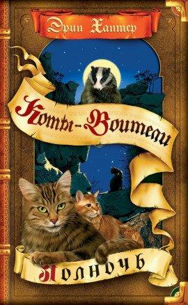 Книга Полночь