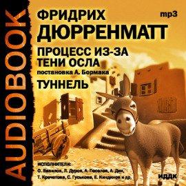 Книга Процесс из-за тени осла. Туннель