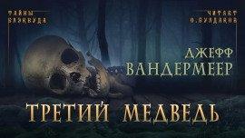 Книга Третий медведь