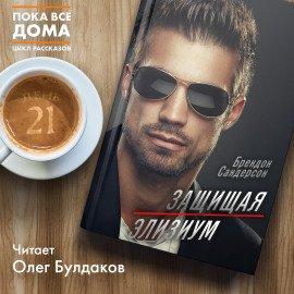 Книга Защищая Элизиум