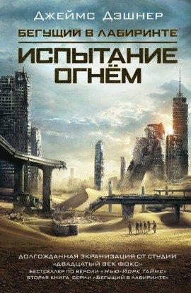 Книга Испытание огнем