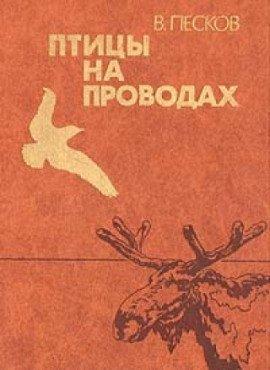 Книга Птицы на проводах