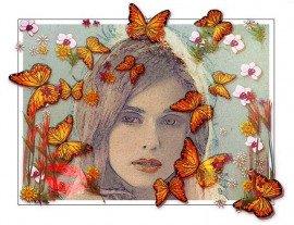 Книга Жёлтые бабочки