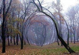Книга После Армагеддона