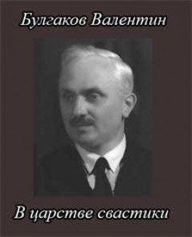 Книга В царстве свастики