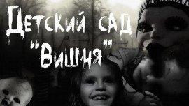 Книга Детский сад &quot;Вишня&quot;