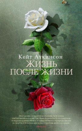Книга Жизнь после жизни