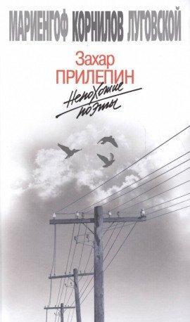 Книга Непохожие поэты