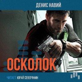 Книга Осколок