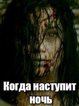 Книга Когда наступит ночь