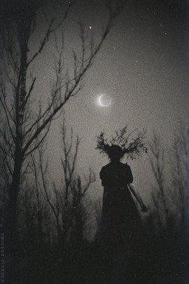 Книга Деревня Тихое