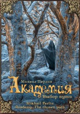 Книга Академия. Выбор пути