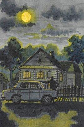 Книга Голубой огонек